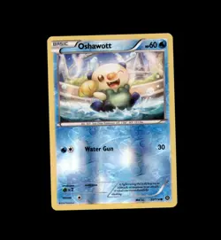 Oshawott 30/114 Common Steam Siege Pokemon Reverse Holo Near Mint - Image 1