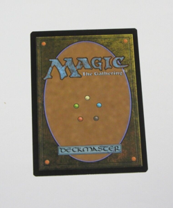 See the Truth - showcase foil - magic the gathering near mint - Image 2