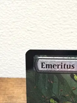 Emeritus of Woe (Extended Art) Secrets of Strixhaven Foil - Image 2