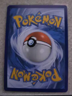 Rookidee 225/193 Illustration Rare Paldea Evolved Near Mint Pokemon Card - Image 2