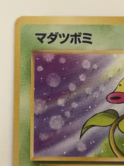 Bellsprout No.069 Jungle Old Back vintage Japanese Pokemon Card From Japan - Image 2