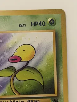 Bellsprout No.069 Jungle Old Back vintage Japanese Pokemon Card From Japan - Image 3