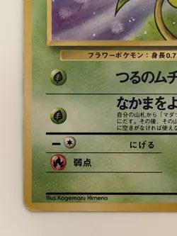 Bellsprout No.069 Jungle Old Back vintage Japanese Pokemon Card From Japan - Image 4