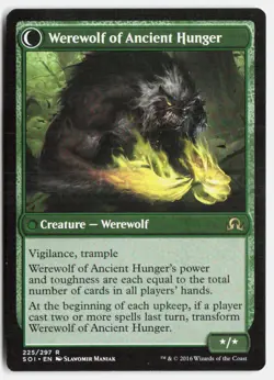Sage of Ancient Lore 225 Rare Shadows over Innistrad Magic: The Gathering NM - Image 2