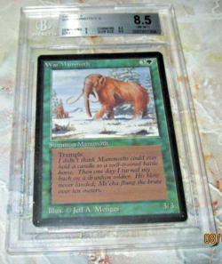 MTG 1993 Beta War Mammoth BECKETT 8.5 NM/MT GRADED CARD - Image 1