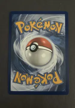 Squirtle 039 First Partner Illustration Collection Series 1 Pokemon TCG - Image 2