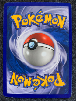 Pokemon TCG Rapidash EX FireRed & LeafGreen 13/112 Holo Holo Rare - Image 2