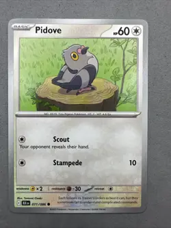 Pokemon TCG * SV Black Bolt 071/086 Pidove Common * FRESH PK - Image 1