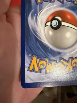 Pikachu SWSH020 SWSH: Sword & Shield Promo Cards Holo - Image 3