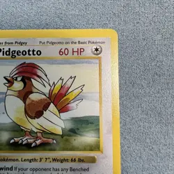 Pidgeotto 1st Edition Base Set Shadowless Rare 22/102 Pokemon Card NM - Image 4