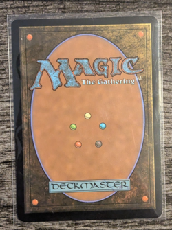 MTG: Plains (268)(Innistrad: Crimson Vow) FULL ART FOIL - Image 2