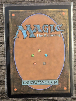 MTG: Plains (269)(Innistrad: Midnight Hunt) FULL ART FOIL - Image 2