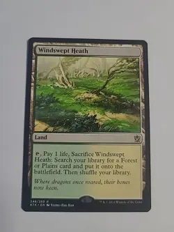 Magic: The Gathering Windswept Heath KTK Lightly Played - Image 1