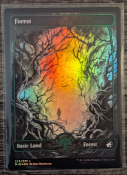 MTG: Forest (277)(Innistrad: Midnight Hunt) FULL ART FOIL - Image 1