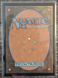 MTG: Forest (277)(Innistrad: Midnight Hunt) FULL ART FOIL - Image 2
