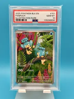 2025 POKEMON BLK EN-BLACK BOLT ILLUSTRATION RARE #101 PANPOUR PSA 10 POP64 - Image 1
