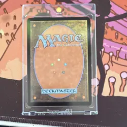 Magic The Gathering Judge Promo Wheel of Fortune - Image 2