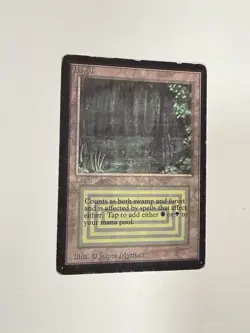 Magic the Gathering Beta Bayou *(Rare)-HP - Image 2