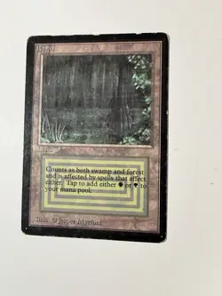 Magic the Gathering Beta Bayou *(Rare)-HP - Image 3