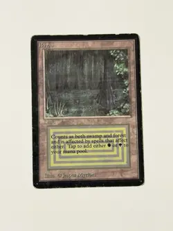 Magic the Gathering Beta Bayou *(Rare)-HP - Image 4