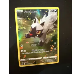 Pokemon Poochyena Ultra Rare Full Art Holo Crown Zenith GG33/GG70 Eng 2023 - Image 1