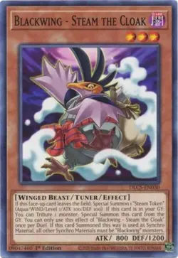 1x (NM) Blackwing - Steam the Cloak - DLCS-EN030 - Common - 1st Edition YuGiOh - Image 1