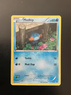 Pokemon TCG Mudkip - Holo McDonald's Promo #5/12 2025 - Image 1