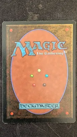 Magic: The Gathering City of Brass Chronicles Rare Land 1995 Regular English - Image 2