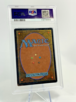 CUOMBAJJ WITCHES - Arabian Nights Graded PSA 8 MTG Magic the Gathering Card 1993 - Image 5