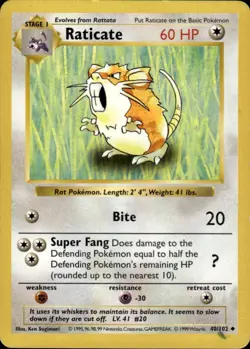 Raticate Uncommon Base Set Shadowless 040/102 Colorless Unlimited Pokemon Card - Image 1