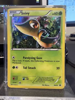 Pokemon TCG - Snivy BW06 - Black & White Black Star Promo - Holo Rare! - Image 1