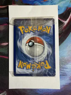 Pokemon TCG Eevee VMAX SWSH087 Holo Black Star Promo Sealed - Image 3
