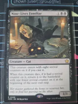 Nine-Lives Familiar Foundations Regular - Image 1