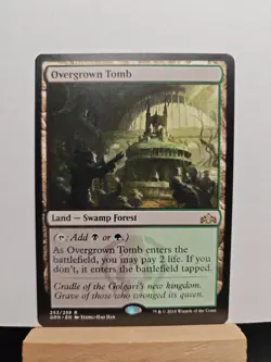 Magic The Gathering MTG Overgrown Tomb Guilds of Ravnica GRN #253 - Image 1