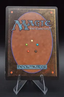 Northern Paladin: 1993 Magic the Gathering - Limited Edition Beta Regular - Image 2