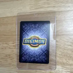 Bandai Digimon Pteramon BO-192S Champion Stage Holo Card 2001 English - Image 4