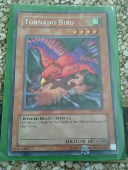 Yugioh! Tornado Bird - DBN -EN009 Unlimited Edition Near Mint, English - Image 1
