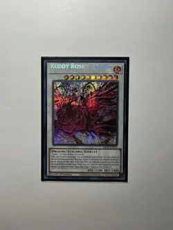 Yugioh Misprint - Shifted Name - Ruddy Rose Dragon MP22-EN077 (NM/LP) - Image 1