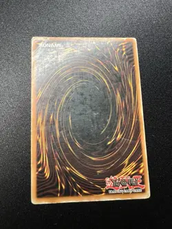 Dark Paladin DMG-001 Secret Rare Limited Edition Promo Yugioh HP - Image 3