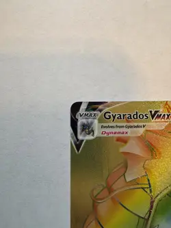 Pokemon TCG Gyarados VMAX 207/203 Rainbow Secret Sword&Shield Evolving Skies NM - Image 2