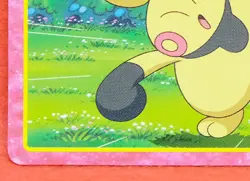 Nuzleaf Pokemon Top Card No.023 Rare Advanced Generation Nintendo Japanese F/S - Image 4