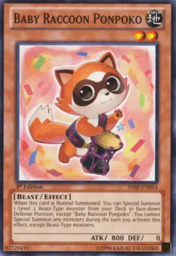3 x Baby Raccoon Ponpoko - SHSP-EN014 - Common - Unlimited Edition Near Mint, En - Image 1