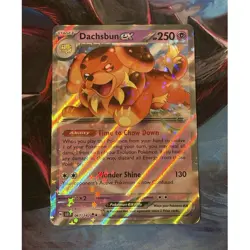 Dachsbun ex 067/142 SV07 Stellar Crown Holo Double Rare. NM Pokemon - Image 1