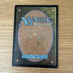 Ajani, Outland Chaperone - Non Foil - NM - Lorwyn Eclipsed - Magic the Gathering - Image 2