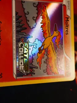 LP Pokemon Prerelease MOLTRES Card XY BLACK STAR PROMO XY127 Holo Fates Collide - Image 5