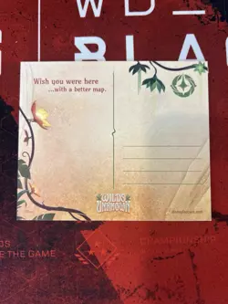 Disney's Lorcana - Wilderknot Prerelease Kit Postcard (Wilds Unknown) - Image 2