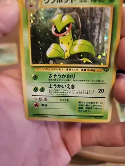 Japanese Victreebel Pokemon Card - Holofoil Jungle Set - Image 3