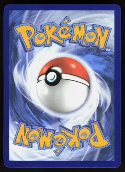 Cramorant 137/159 Common Journey Together Pokemon Reverse Holo Near Mint - Image 2