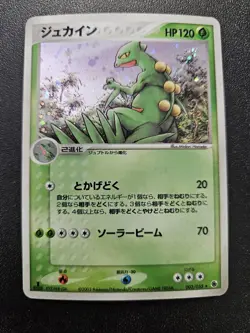 Pokemon Japanese 1st Ed EX Ruby Sapphire Sceptile Holo Rare 003/055 NEAR MINT - Image 1