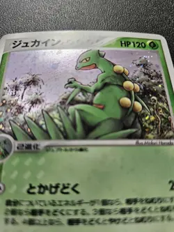 Pokemon Japanese 1st Ed EX Ruby Sapphire Sceptile Holo Rare 003/055 NEAR MINT - Image 2